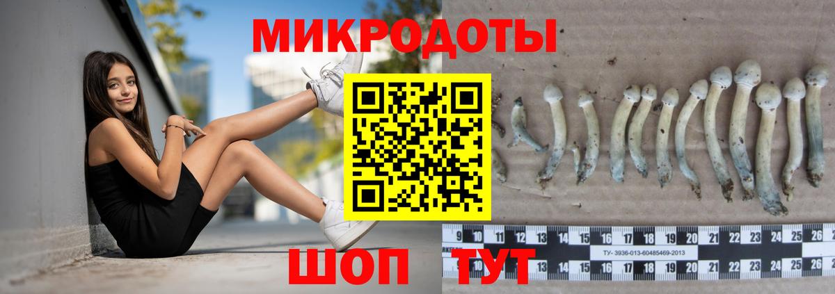 Галлюциногенные грибы GOLDEN TEACHER  Вход с VPN  Каспийск 